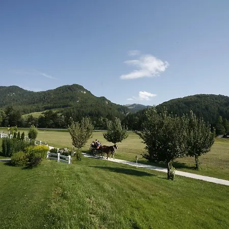 Gut Hanneshof Эрпфендорф