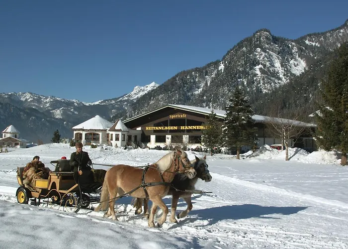 Gasthof Gut Hanneshof 4*