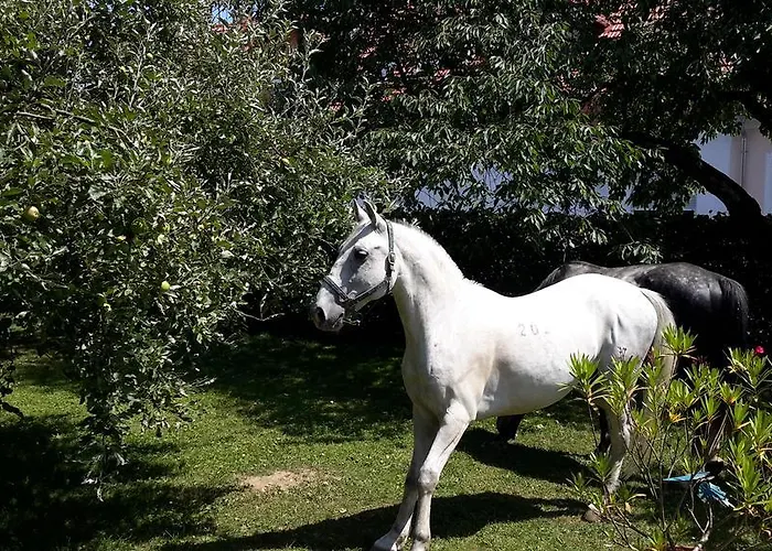 Gut Hanneshof Гостевой дом Эрпфендорф