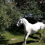 Gut Hanneshof Guest house Erpfendorf